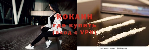 прущие грибы Волоколамск