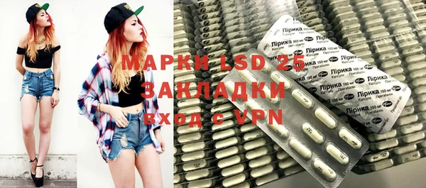 прущие грибы Волоколамск