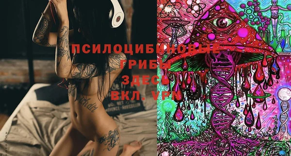 метамфетамин Вяземский