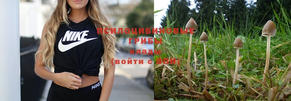 прущие крисы Вязники