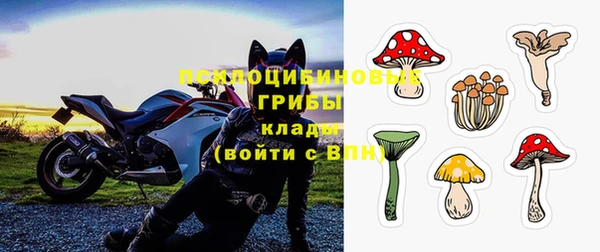 МДПВ Володарск